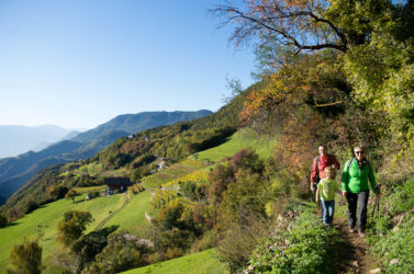 Wanderungen auf den Kastanienwegen Südtirols
