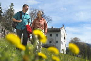 spring in South Tyrol
