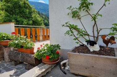 Außenbereich Terrasse