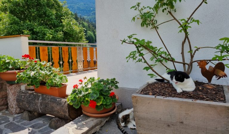 Ost Eingangsbereich 1