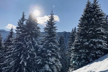 Alpe di Siusi in inverno 