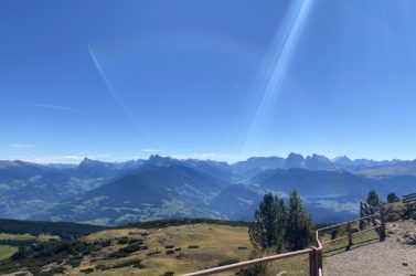 View from 