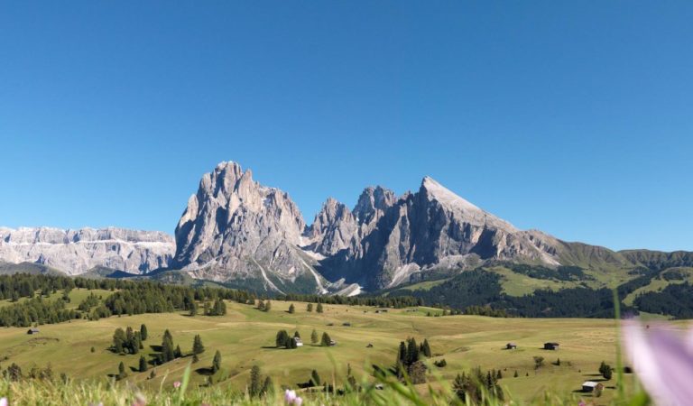 seiser-alm-mit-blick-auf-den-lang-und-plattkofel-und-im-hintergrund-der-sellastock